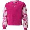 Puma Alpha Crew TR Jr džemperis 846941 14