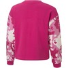 Puma Alpha Crew TR Jr džemperis 846941 14