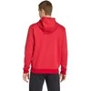 Bluza vyriška adidas Entrada 26 Hoody raudona JZ6576 (S)
