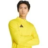 Bluza vyriška adidas Entrada 26 Training Top geltona JZ6657 (L)