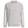 Bluza vyriška adidas Squadra 21 Sweat Top pilka GT6640 (M)