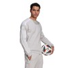 Bluza vyriška adidas Squadra 21 Sweat Top pilka GT6640 (M)