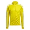 Sportinis džemperis vyrams Adidas Squadra 21 GP6465, geltonas