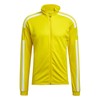 Adidas Squadra 21 Training geltonas megztinis GP6465 (S)