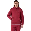 Bluza vyriška Champion Hooded Sweatshirt raudona 221790 RS508 (L)