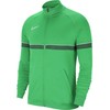 Nike Dri-FIT Academy 21 Vyriškas Džemperis CW6113-362