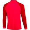 Nike NK Dri-FIT Academy Pro Trk JKT KM DH9234 635 megztinis