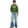 Bluza vyriška Puma ESS No.1 Logo Hoodie FL žalia 682571 68 (L)