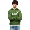 Bluza vyriška Puma ESS No.1 Logo Hoodie FL žalia 682571 68 (L)