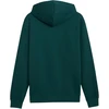 Bluza vyriška Puma ESS Small No.1 Logo Hoodie žalia 692914 70 (2XL)