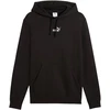 Bluza vyriška Puma ESS Small No.1 Logo Hoodie juoda 692914 01 (S)