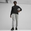 Bluza vyriška Puma Team Goal Casuals Crew Neck Sweat juoda 658592 03 (L)