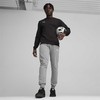 Bluza vyriška Puma Team Goal Casuals Crew Neck Sweat juoda 658592 03 (2XL)