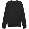 Bluza vyriška Puma Team Goal Casuals Crew Neck Sweat juoda 658592 03 (2XL)