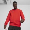Bluza vyriška Puma Team Goal Casuals Crew Neck Sweat raudona 658592 01 (M)