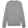 Bluza vyriška Puma Team Goal Casuals Crew Neck Sweat pilka 658592 33 (M)