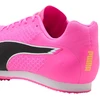 Buty Puma Evo Speed Star 9 kolce 311379 06 (42)