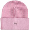 Kepurė Puma Metal Cat Beanie 024874 05