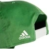 Kepurė Adidas Czapka adidas Daily Cap IR7908