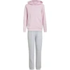 Dres vaikams adidas Essentials rožinė-pilka KR6711 (152cm)