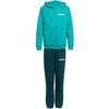 Adidas Essentials žalias vaikams sportinis kostiumas JN2427