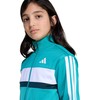 adidas Sezoninis Essentials Tiberio 3 Dryžiai Triko Jaunimo Tracksuit JN2245