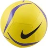 Nike Kamuolys Park Team 2.0 HV6332-765