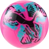 Futbolo kamuolys Puma Big Cat rožinė 84937 05 (5)