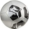 Futbolo kamuolys Puma Big Cat sidabrinė 84214 03 (3)