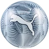 Futbolo kamuolys Puma Final Graphic Ball mėlyna 84949 02 (5)