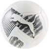 Futbolo kamuolys Puma Individual Liga Graphic balta ir-juoda 84948 02 (4)