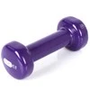 Viniliniai hanteliai Profit violetinė 2x0,75kg DK 4102
