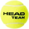 Teniso kamuoliukai Head Team 4 vnt.