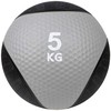 Kamuolys medicininė Profit guma Force 5kg