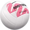 Tinklinio meteoras pvc