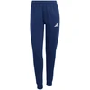 Kelnės moterims adidas Entrada 26 Sweat Pant tamsiai mėlyna KB3946 (XS)