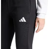 Kelnės moterims adidas Entrada 26 Sweat Pant juoda KB3945 (S)