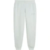 Kelnės moterims Puma ESS Script Comfort mėtų 694067 29 (L)