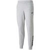 Kelnės moterims Puma Power Pants FL pilka 589546 04 (S)