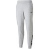 Kelnės moterims Puma Power Pants FL pilka 589546 04 (S)