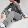 Kelnės moterims Puma Team Goal Casuals pilka 658604 33 (L)