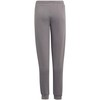 Kelnės vaikams adidas Entrada 22 Sweat Pants pilka H57519 (128cm)