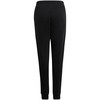 Kelnės vaikams adidas Entrada 22 Sweat Pants juoda H57518 (128cm)