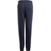 Adidas Essentials 3 dryžių kelnės Jr GQ8898