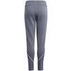 Kelnės vaikams adidas Tiro 23 League Sweat pilka HZ3020 (164cm)