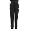 Kelnės vaikams adidas Tiro 24 Sweat juoda IJ7659 (152cm)