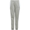 Kelnės vaikams adidas Tiro 24 Sweat pilka IS1009 (152cm)