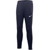 Nike Academy Pro Pant Youth Jr DH9325 451