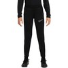 Nike Academy 23 Kpz Kelnaitės Jaunimui DR1676 010