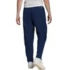 Sportinės kelnės vyrams Adidas Entrada 22 Pre Panty M HB5329, mėlynos
